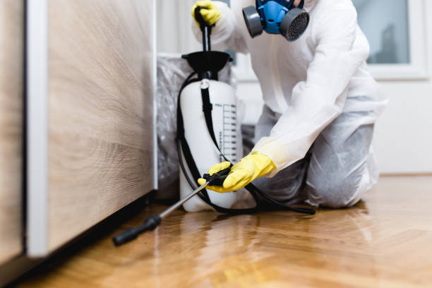 Best Pest Prevention Services  in Canton, IL