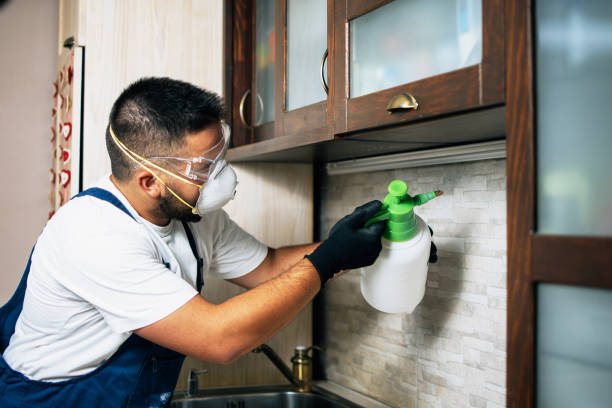 Best Pest Removal Services  in Canton, IL