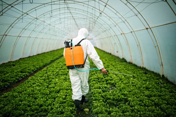 Best Mosquito Control Services  in Canton, IL