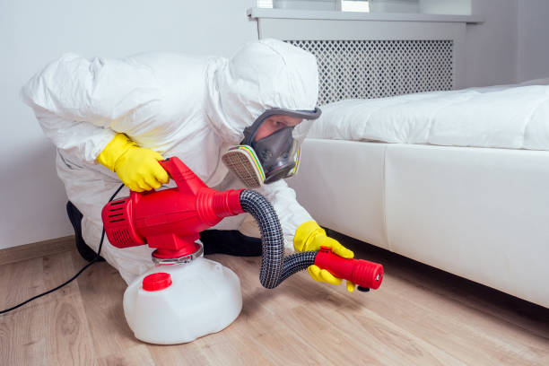 Best Emergency Pest Control  in Canton, IL