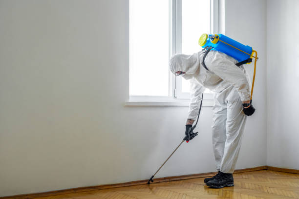 Best Affordable Pest Control Services  in Canton, IL