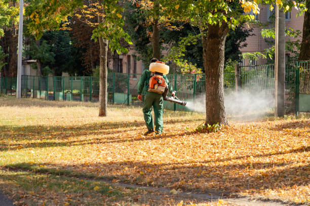 Best Wasp Removal Services  in Canton, IL