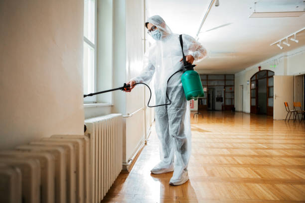 Best Flea Control Services  in Canton, IL